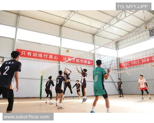 武汉排球队荣登排球个人能力排行榜第一名引发热议